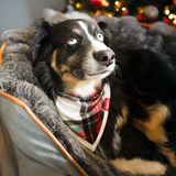 Bavoir pour chien Tartan Dreams Pet Bandana