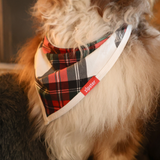 Bavoir pour chien Tartan Dreams Pet Bandana