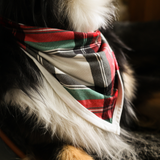 Bavoir pour chien Tartan Dreams Pet Bandana