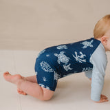 Swimster-Schildkröten