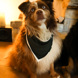Dog Bib Green Heritage Pet Bandana